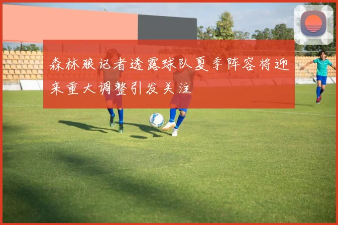 森林狼记者透露球队夏季阵容将迎来重大调整引发关注