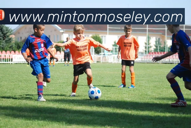 星空体育网页版平台生态图