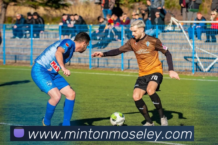 星空体育网页版APP 封面图